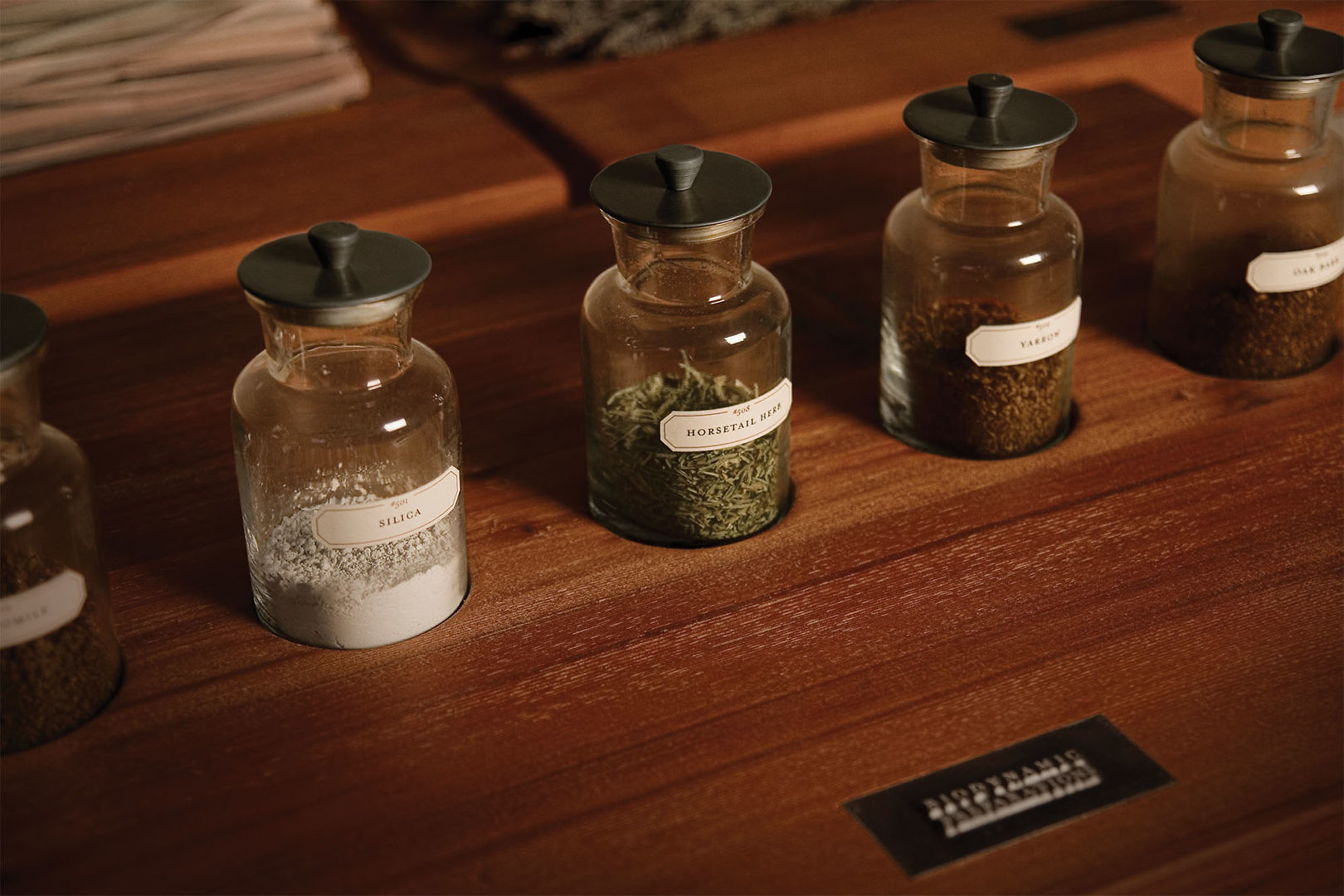 Bonterra Organic Wines | Cue