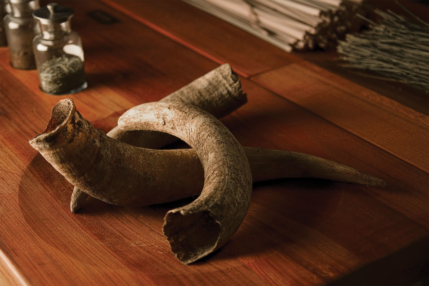 Bonterra Organic Wines | Cue