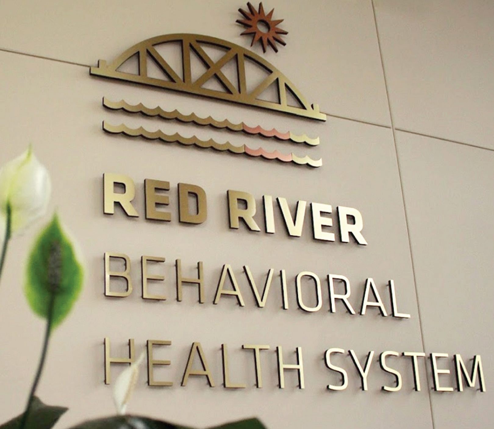 Meridian Behavioral Health System | Cue