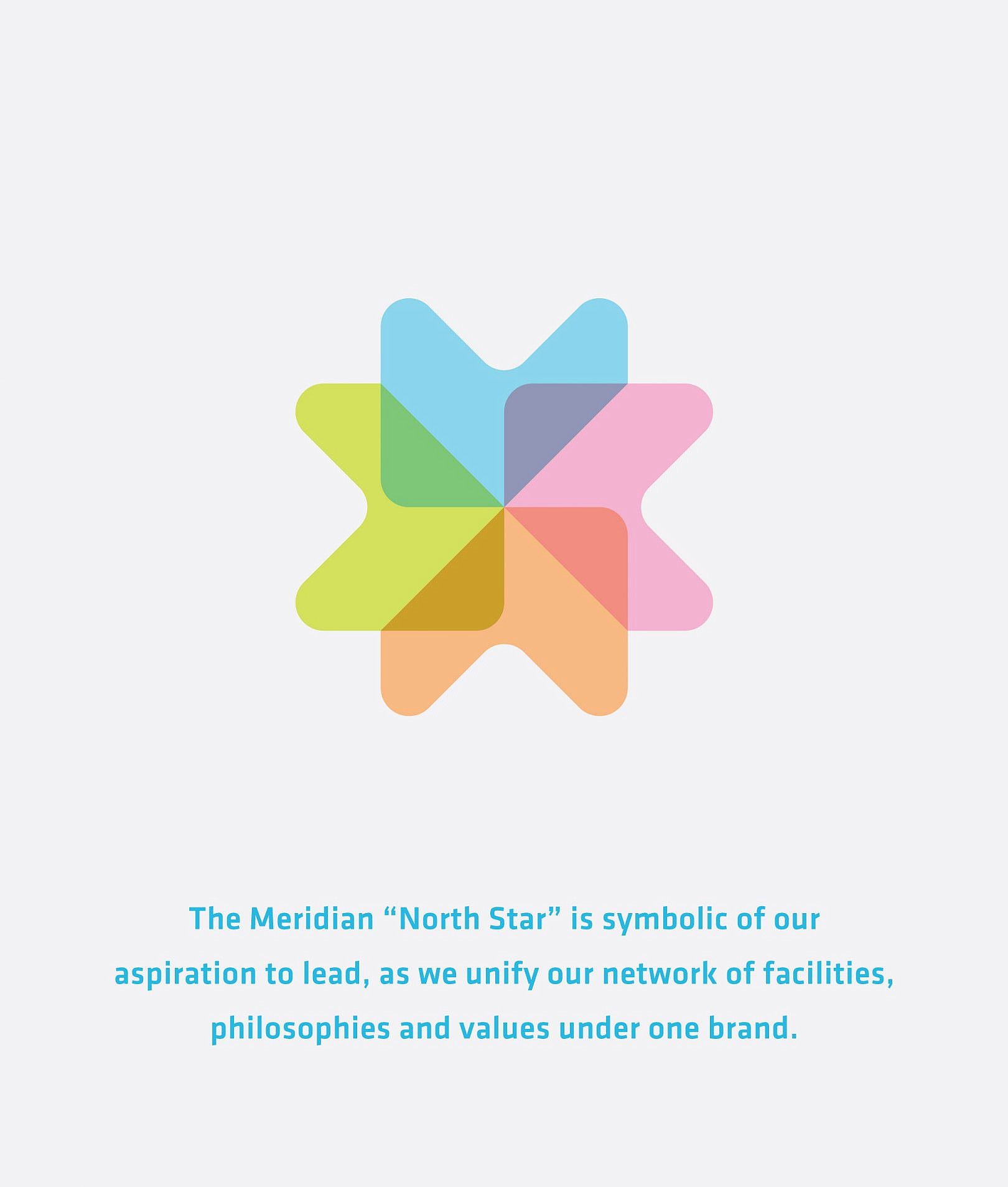 Meridian Behavioral Health System | Cue